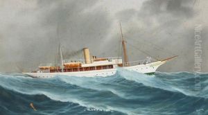 The Steamsailors Aloma, N.y.y.c. The Steamsailors Aloma, N.y.y.c.