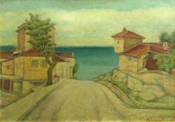 Peisaj Din Turtucaia - view 1