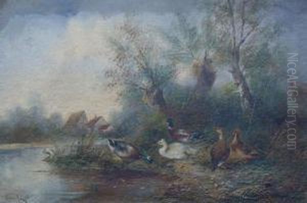 Ducks Along A Streambank - view 1