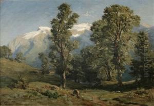 "engelberg-schweiz", Romantische Gebirgs-sommerlandschaft