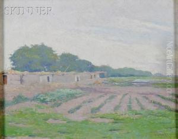 View Of An Egyptian Farm - view 1