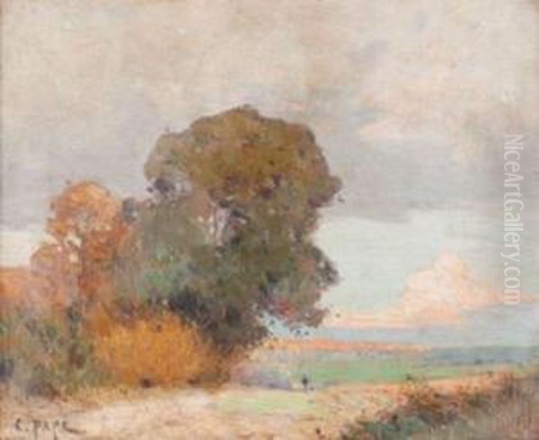 Paysage - view 1