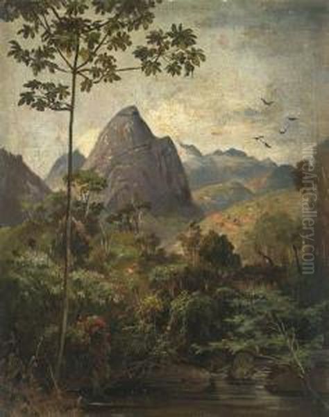 Landscape Near Rio De Janeiro - view 1