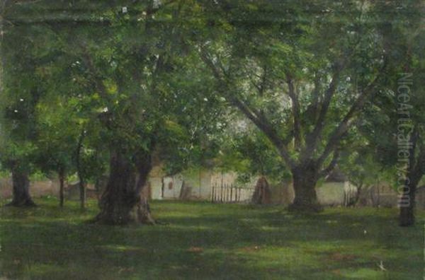 Rural Landscape - view 1