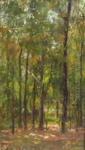Forest Forest