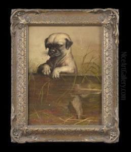 Puppy No. 9 by Adelaide Paris Spang