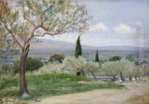 Paesaggio Collinare Con Ulivi by Napoleone Parisani