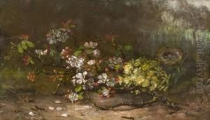 Nature Morte Au Nid Nature Morte Au Nid