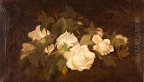 White Roses - view 1