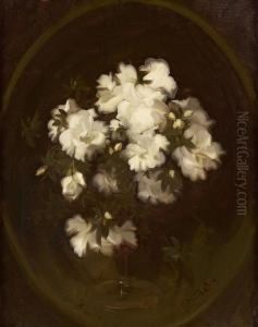 Still Life Of White Roses