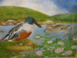 Shoveler Duck In A Pond by Frederick H.A. Parker