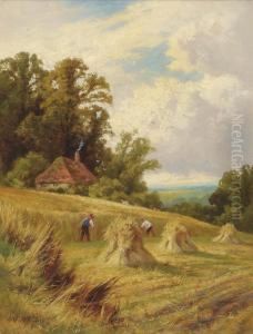 A Sussex Cornfield