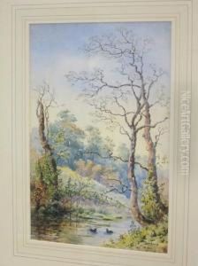 'moorhens' - 'on The Thames, Near Sonning'
