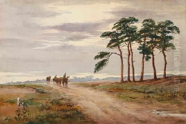 On The Icklingham Road, Near Mildenhall - view 1