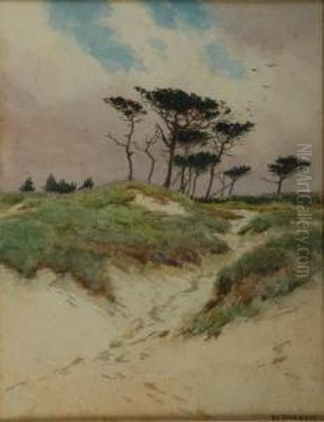 British Sand Dunes With Windswept Trees - view 1