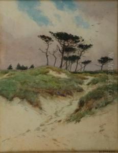 British Sand Dunes With Windswept Trees by William Samuel Parkyns