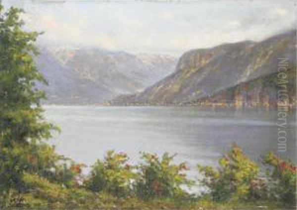 Veduta Del Lago Di Lecco - view 1