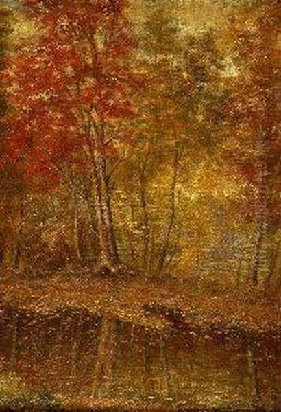 Southern Landscape - view 1