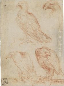 Four Studies Of An Eagle