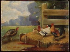 Aves De Granja by Felix Parra