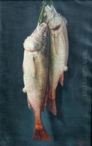 Peces by Jose Felipe Parra Piquer