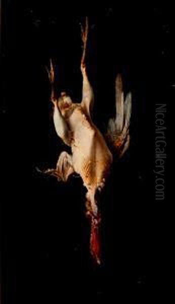 "naturaleza Muerta". - view 1