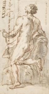 Academie D'homme De Dos