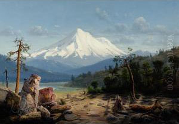 Mt. Shasta - view 1