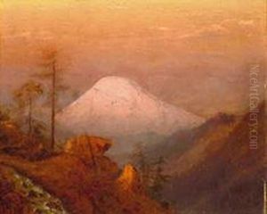 St. Helens From The Crow's Nest