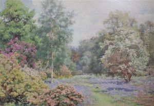 Woodland Garden With Bluebells And Rhododendrons