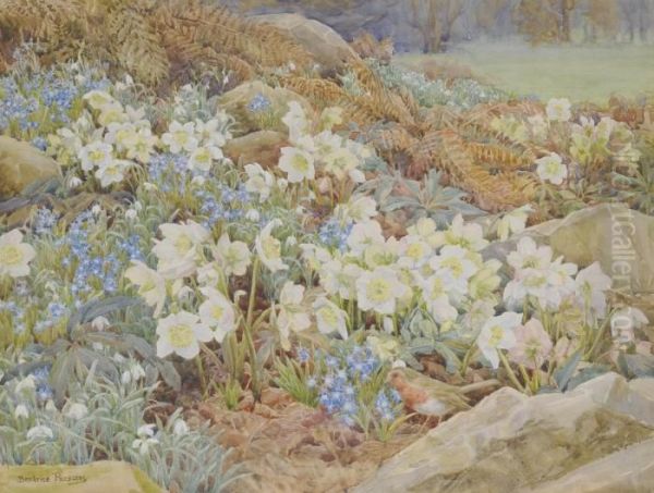 Christmas Roses And Snowdrops - view 1