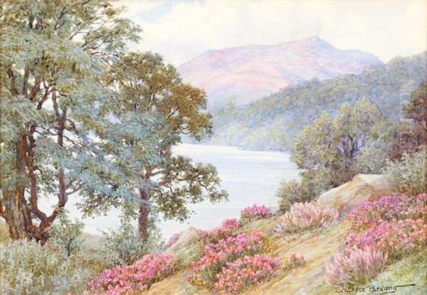 Heather In Lakeland - view 1