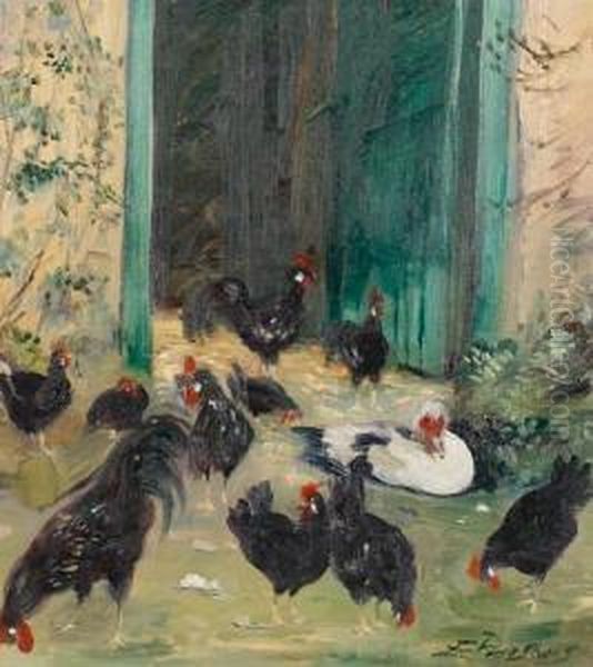 Chickens - view 1