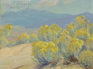 Desert Bloom by Sheldon Parsons