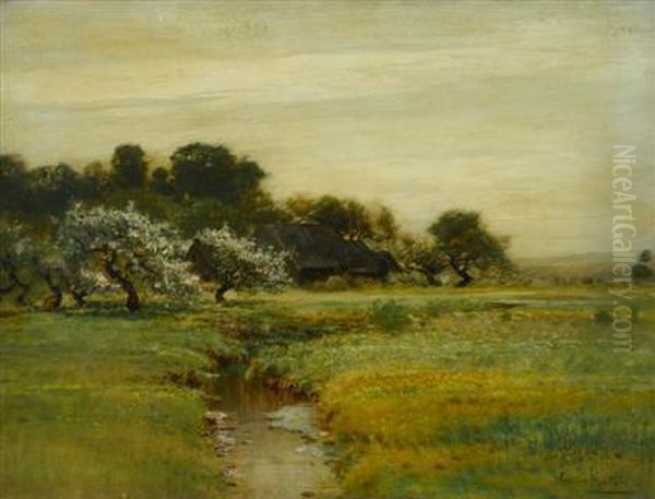 Cherry Blossom By A River - view 1