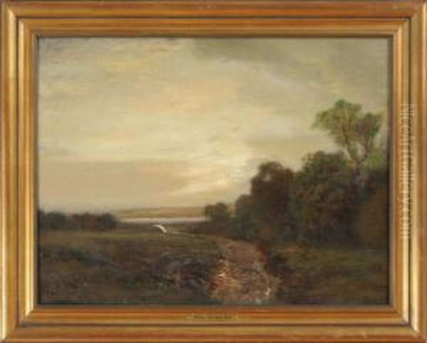 Landscape - view 1