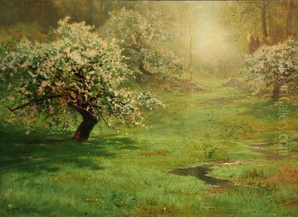 Apple Blossoms - view 1
