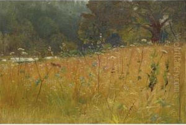 Wild Flowers - view 1