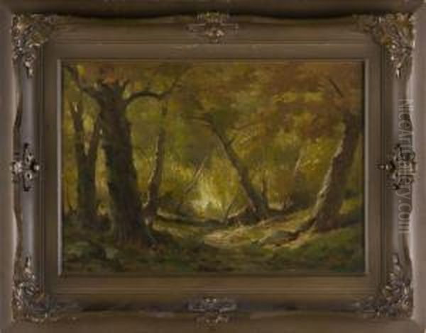 Woodland Interior - view 1