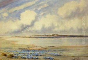 Scolt Head by Frederick Henry Partridge