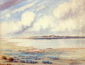 "scolt Head" by Frederick Henry Partridge
