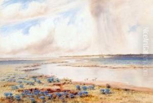 North Norfolk Estuary