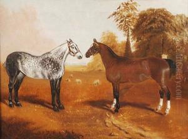 Dapple Grey And Bay Hunters In A Field - view 1