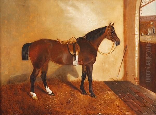 Saddled Bay Hunter In A Stable; And Companion - view 1