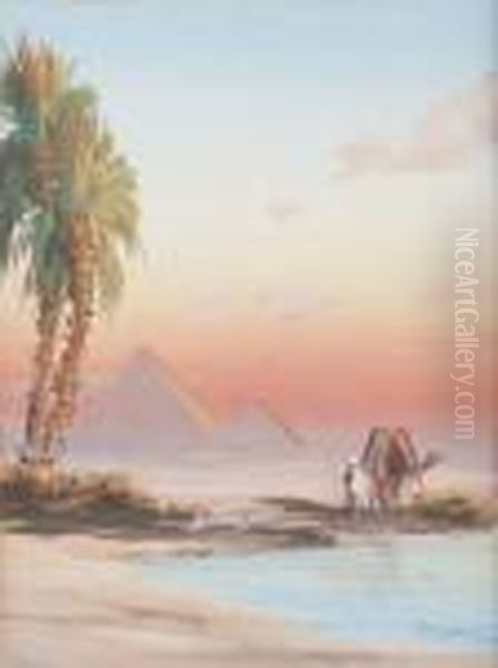 L'oasis Pres Des Pyramides En Egypte. - view 1