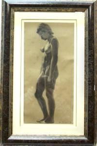 Desnudo Femenino