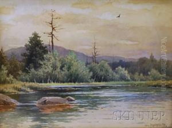 Riverscape - view 1