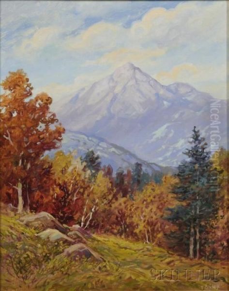 Fall Landscape - view 1