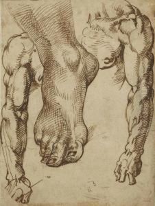 Etude De Pied Et De Bras