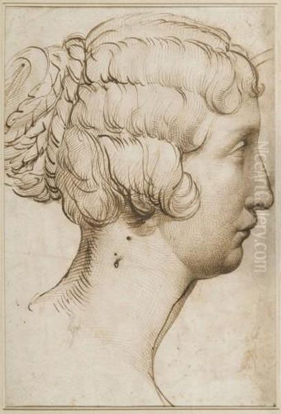 Tete De Femme Vue De Profil - view 1